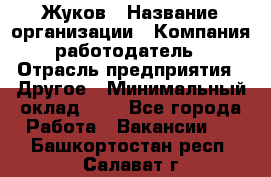 Жуков › Название организации ­ Компания-работодатель › Отрасль предприятия ­ Другое › Минимальный оклад ­ 1 - Все города Работа » Вакансии   . Башкортостан респ.,Салават г.